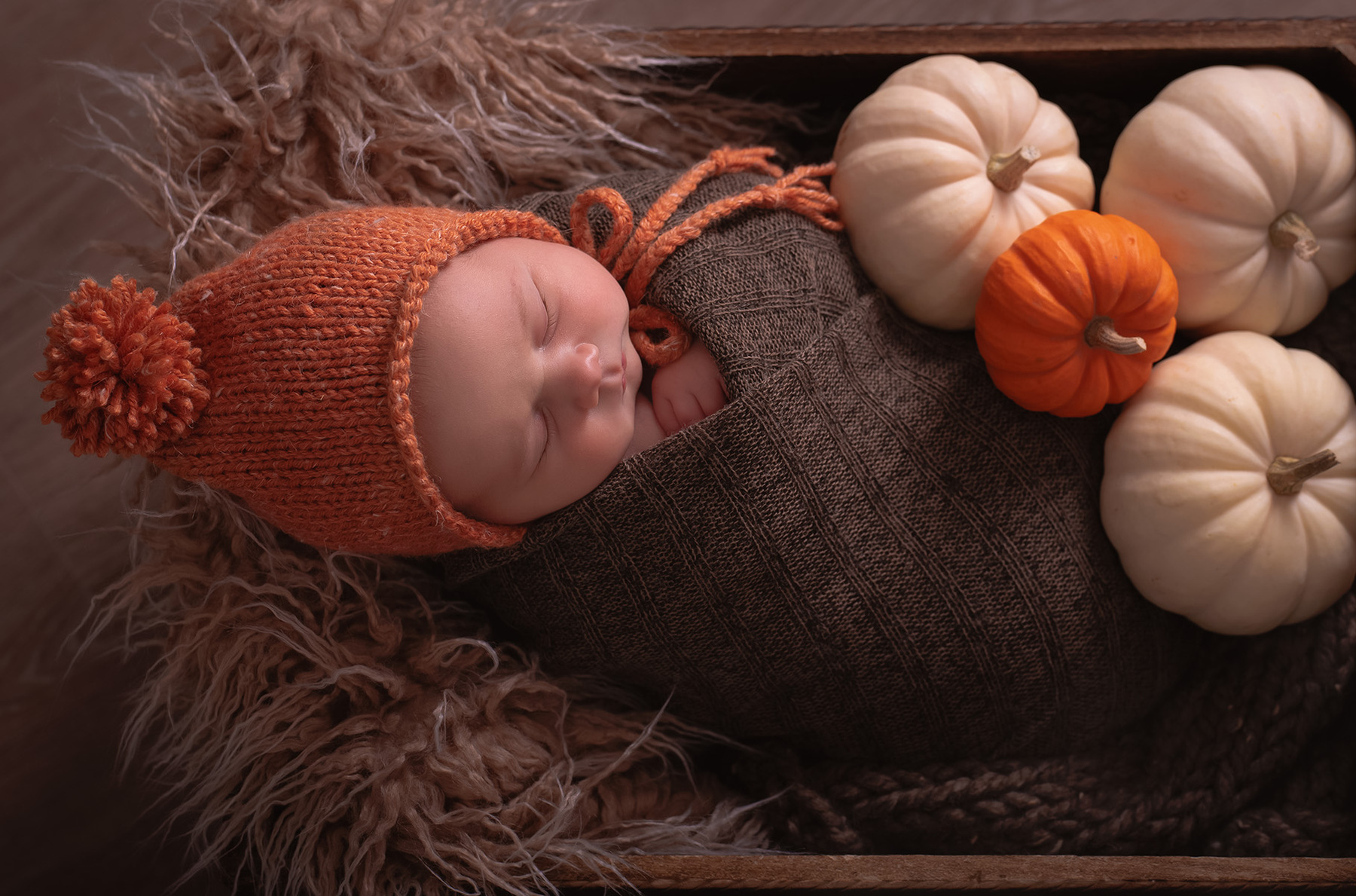 Baby Photographer Mary McCauley Minnetonka MN