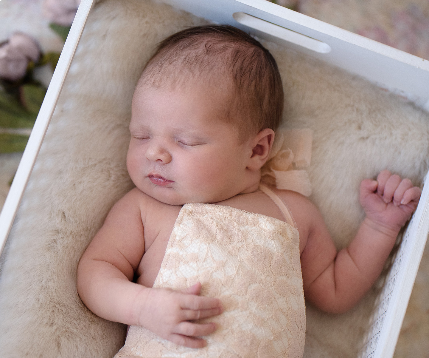 Minnetonka Minnesota Newborn Photographer